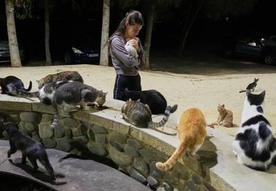 Image for Međunarodna izložba mačaka