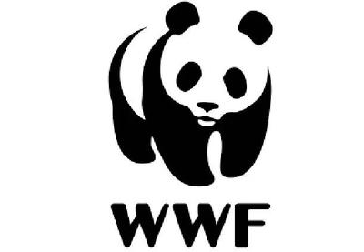 Image for WWF Adrija prekida saradnju s dosadašnjim ambasadorom zbog neprimerenog uznemiravanja životinja