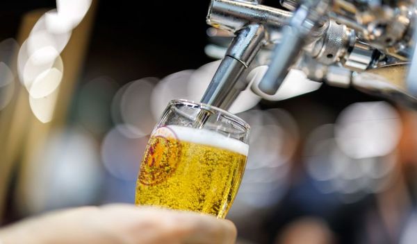 Image for Nemci manje piju pivo