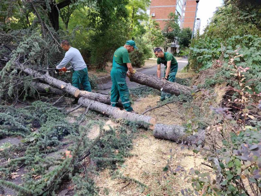 Image for Saniranje posledica nevremena