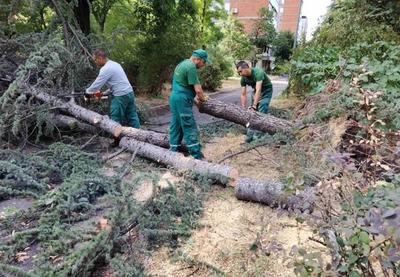 Image for Saniranje posledica nevremena