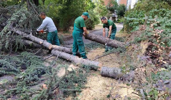 Image for Saniranje posledica nevremena