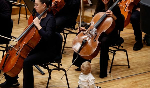 Image for Filharmonija svira za bebe