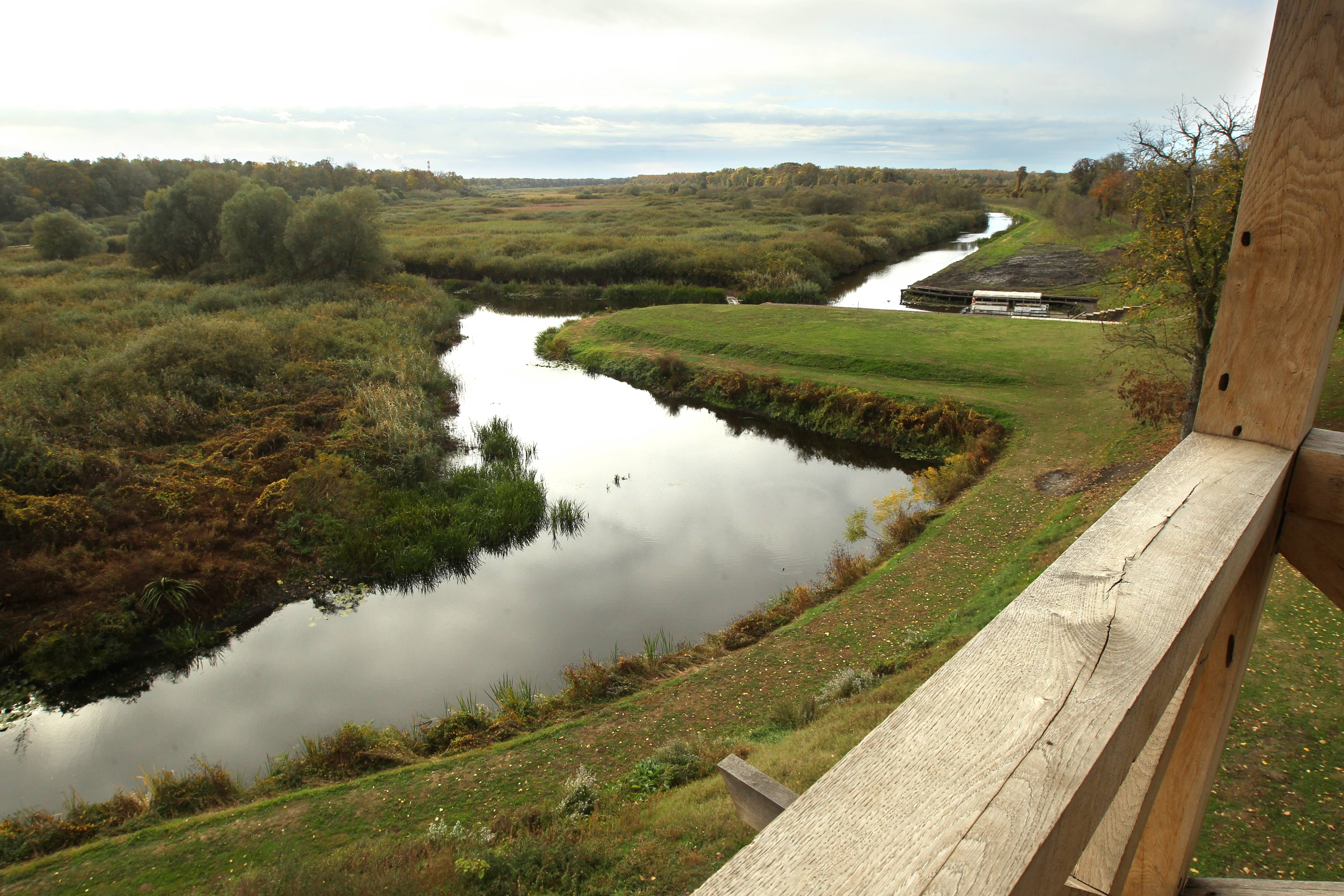 Image for Finska će ponovo odobriti lov na vukove 2026. godine
