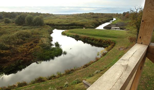 Image for Finska će ponovo odobriti lov na vukove 2026. godine