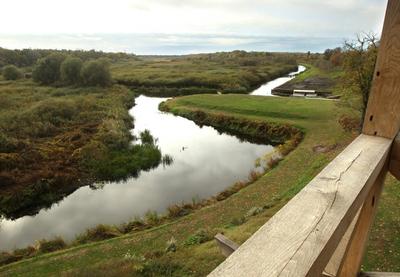 Image for Finska će ponovo odobriti lov na vukove 2026. godine