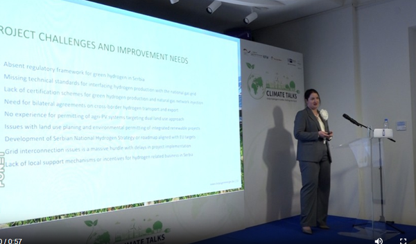 Image for Budućnost zelenog hidrogena