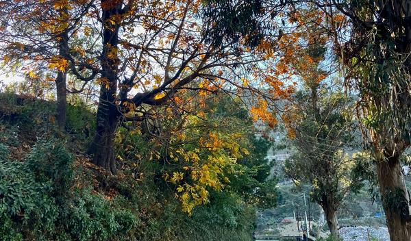 Image for Ujutru sa mrazom, tokom dana sunčano i vetrovito