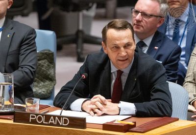 Šikorski je u intervjuu podsetio da su Poljaci dokazali da se pouzdani saveznici jer su bili uz SAD u Iraku i Avganistanu