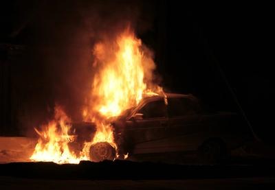 Image for Sin poznatog političara živ spaljen u Beču