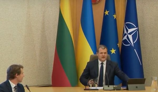 Image for Pala vlada Litvanije