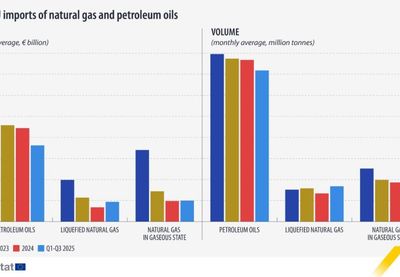 Image for Rast uvoza tečnog gasa