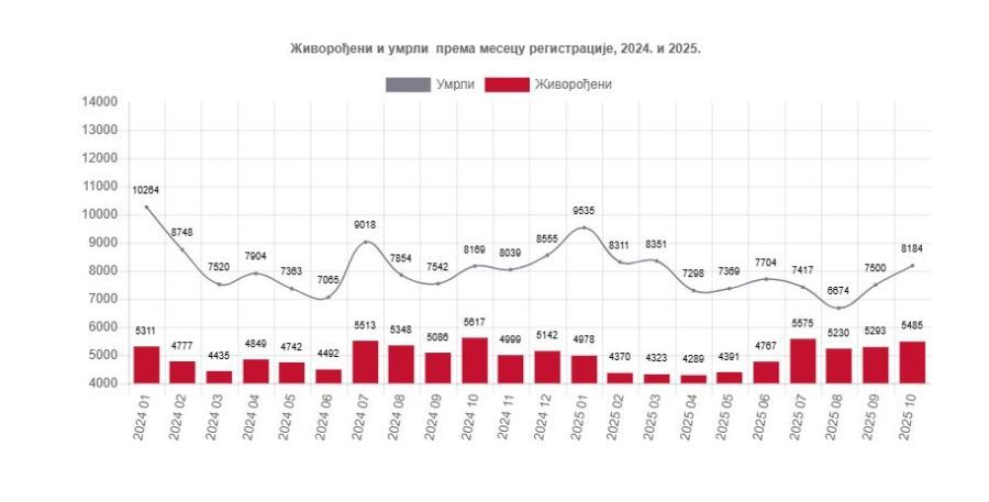 Image for Pad živorođenih i umrlih