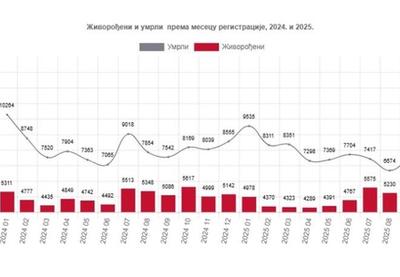 Image for Pad živorođenih i umrlih
