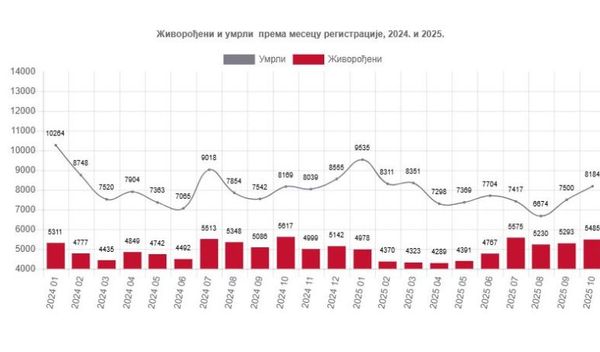 Image for Pad živorođenih i umrlih