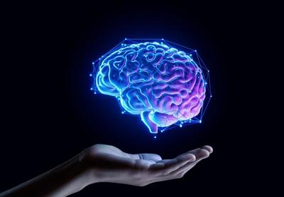 Image for Pet faza razvoja mozga tokom ljudskog života