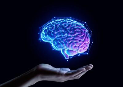 Image for Pet faza razvoja mozga tokom ljudskog života