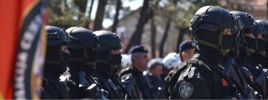 Image for Privedeni državljani Srbije