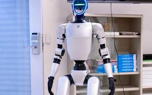 Robot nazvan WLTR može da sazida do 10 kvadratnih metara na sat i to do visine od 3,5 metara bez korišćenja građevinske skele