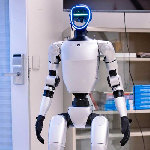 Robot nazvan WLTR može da sazida do 10 kvadratnih metara na sat i to do visine od 3,5 metara bez korišćenja građevinske skele