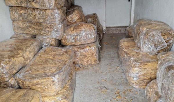 Image for Oštetili budžet za 110 miliona