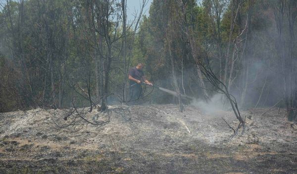 Šumski požar na planini Stolovi, jugozapadno od Kraljeva, juče od podneva se gasi i iz vazduha, a u njegovom gašenju učestvuje i ruski avion "iljušin"