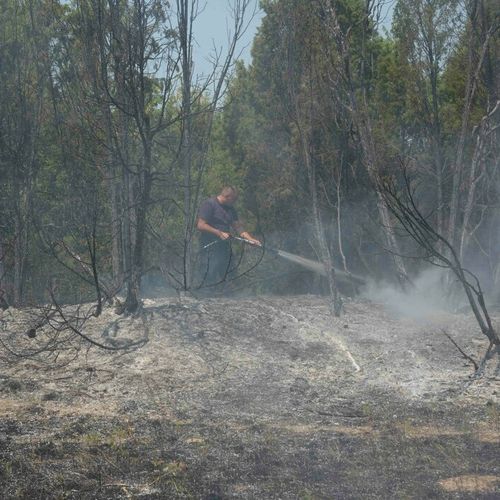 Šumski požar na planini Stolovi, jugozapadno od Kraljeva, juče od podneva se gasi i iz vazduha, a u njegovom gašenju učestvuje i ruski avion "iljušin"