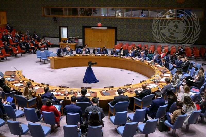 FoNet/un.org/printscreen