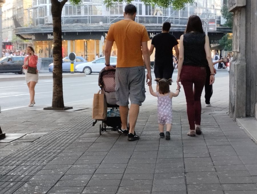 Image for Podrška polupacionoj politici