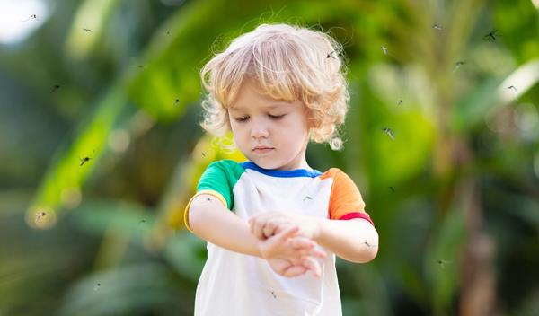 Image for Pedijatri beleže porast ozbiljnih ujeda komaraca kod mališana