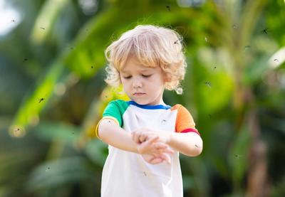 Image for Pedijatri beleže porast ozbiljnih ujeda komaraca kod mališana