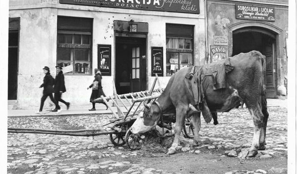 Image for Gavra, Džamija, Ksantipa ili Njegoš – kako su se spelovala slova telefonom 1947.