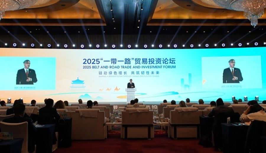 Image for Kineska privreda u Srbiji