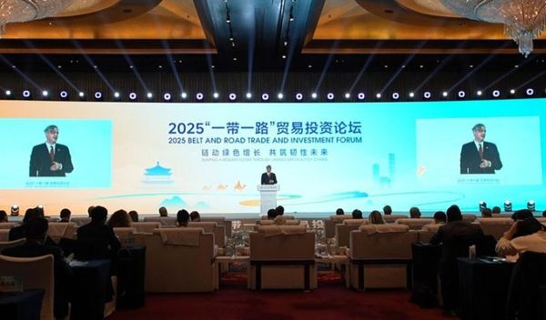 Image for Kineska privreda u Srbiji