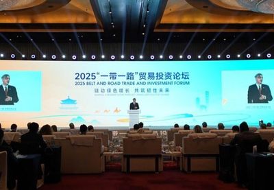 Image for Kineska privreda u Srbiji