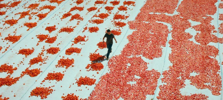 Image for Dani turskog filma