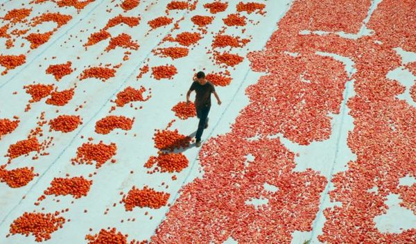 Image for Dani turskog filma