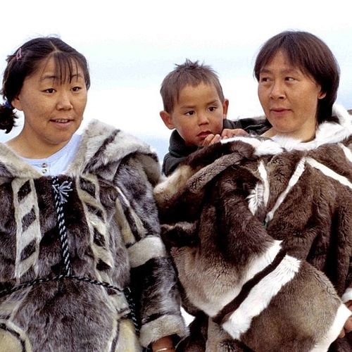 Image for Drugi pogled na Grenland: Moderni janičari na danski način