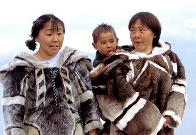 Image for Drugi pogled na Grenland: Moderni janičari na danski način