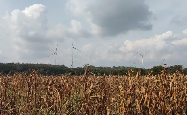 Image for Gangi (FAO): Srbija ima potencijal da bude lider u izgradnji održivih prehrambenih sistema