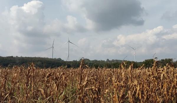 Image for Gangi (FAO): Srbija ima potencijal da bude lider u izgradnji održivih prehrambenih sistema