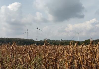 Image for Gangi (FAO): Srbija ima potencijal da bude lider u izgradnji održivih prehrambenih sistema