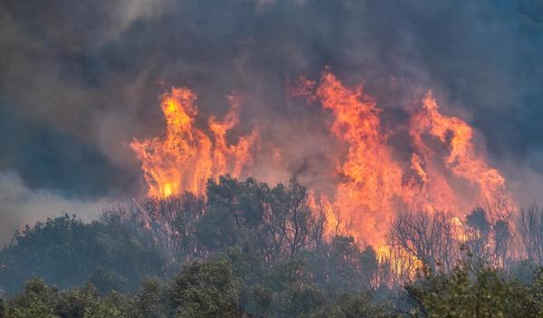 Image for Požar na Tasosu: Evakuisani turisti, hotel i plaža u plamenu