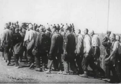 Image for Izložba o Jasenovcu u Evropskom parlamentu