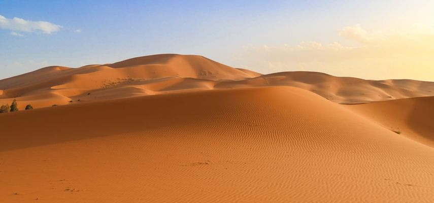 Sahara sama gladuje, ali hrani najveću šumu na planeti