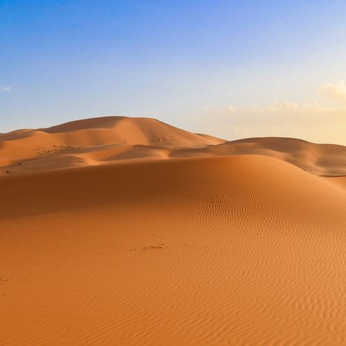 Sahara sama gladuje, ali hrani najveću šumu na planeti