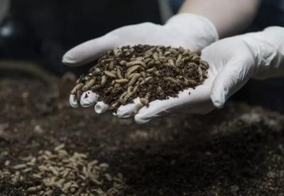 Image for Farma muva u Beču proizvodi đubrivo