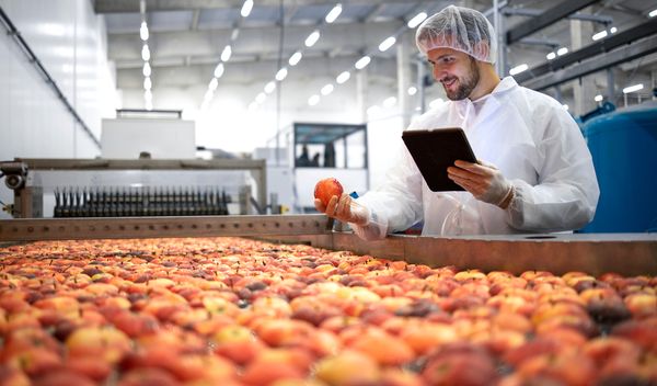Najveći pad zaposlenih u prerađivačkoj industriji