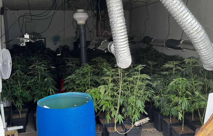 Image for Uhapšeni zbog marihuane