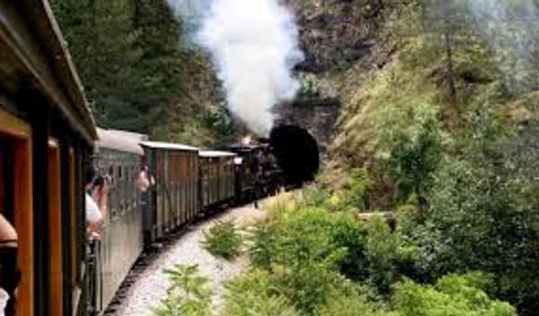 Image for Voz Nostalgija od danas ponovo saobraća na Šarganskoj osmici